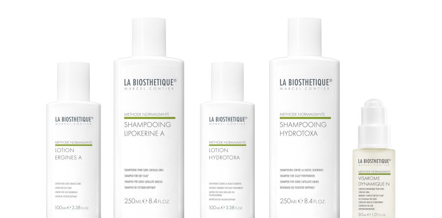 Methode_Normalisante